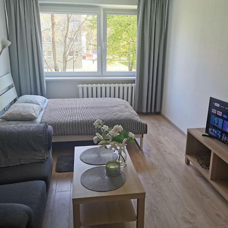 Modern Studio Debreceno, Self-Check-In, Free Parking Klaipėda Exterior foto